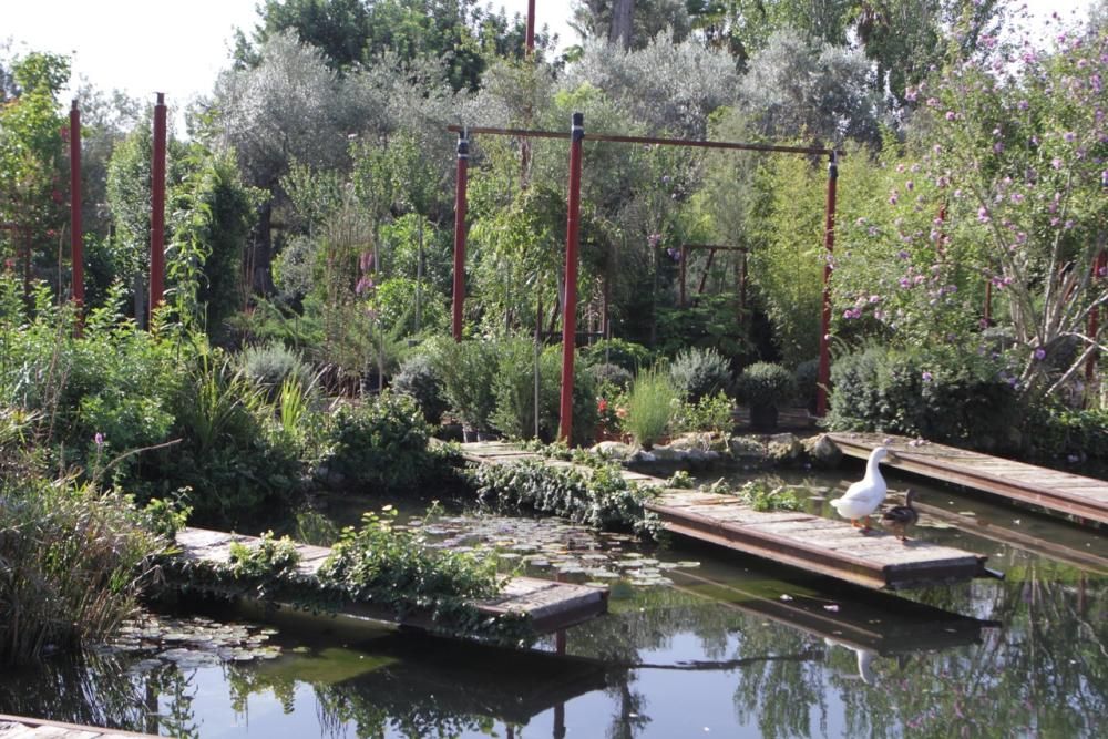 Mallorcas Gärtnereien: Bei „Jardins de Tramuntana“ sehen Besucher, welche Pﬂanzen auf der Insel gut gedeihen und wie viel Gestaltung möglich ist