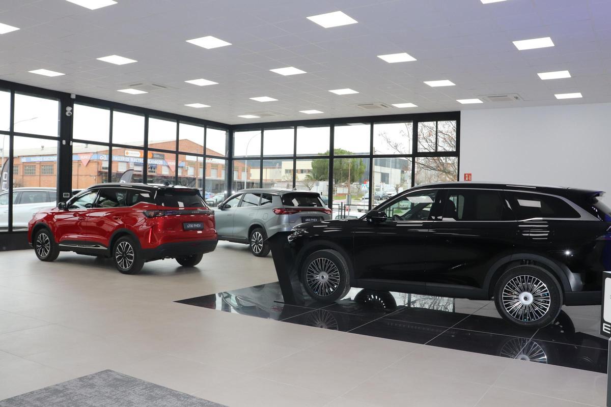 Interior de la exposición de Leza Motor EBRO en Capellanías.