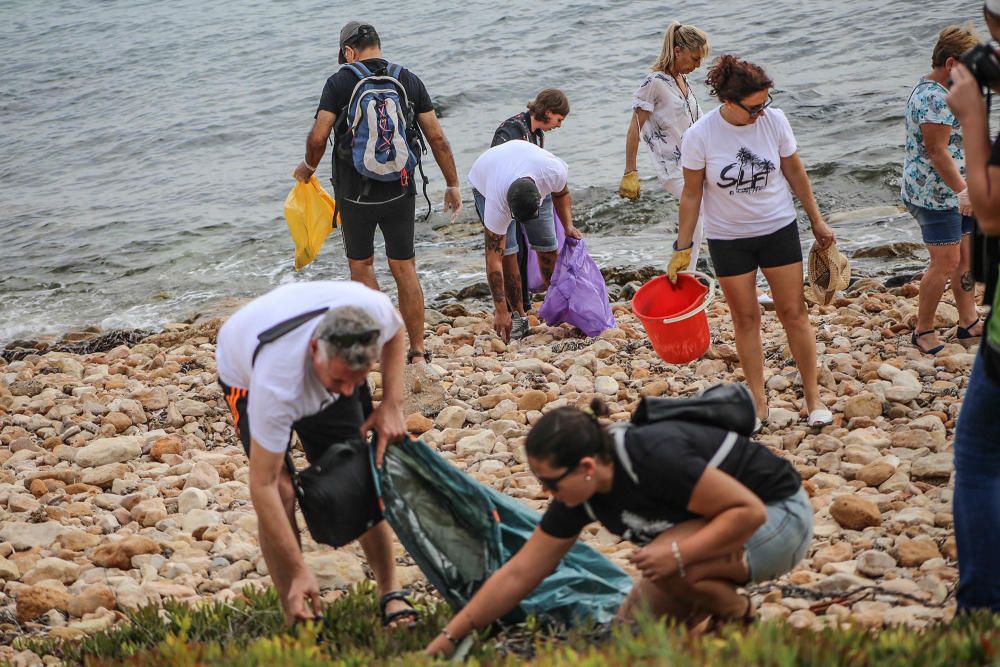 Limpieza del palmeral de Ferrís en Torrevieja