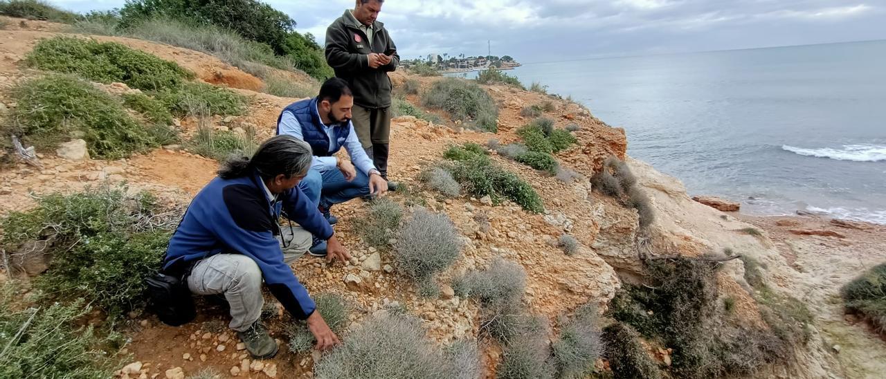 Biólogos y el concejal Dámaso Aparicio en la microrreserva de la Punta de La Glea