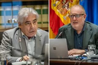 Tirón de orejas a los políticos: "El 'turbodesarrollo' convierte a Canarias en uno de los puntos del mundo donde la sobrepoblación pone en peligro la biodiversidad"