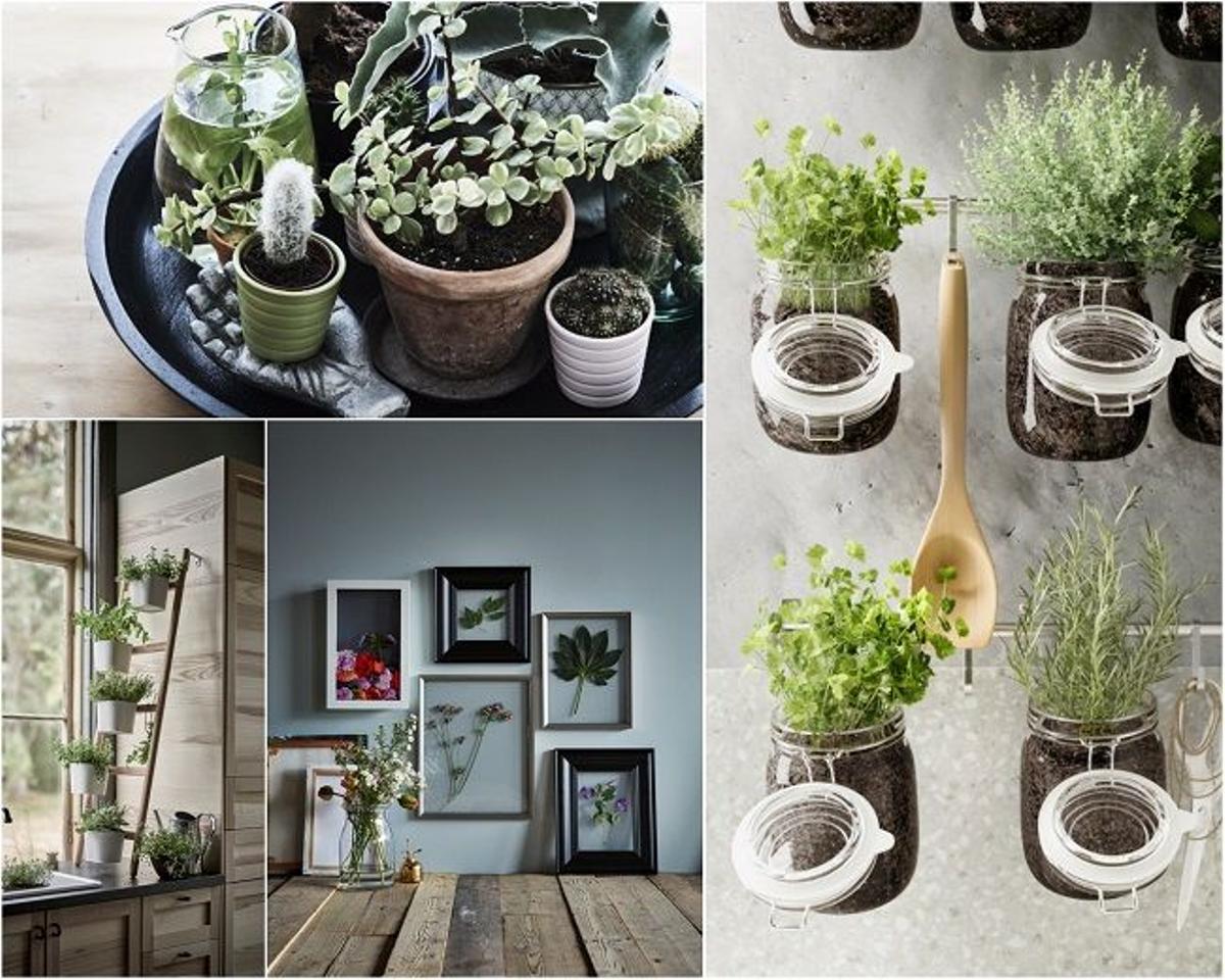 La decoración de Ikea con maceteros y cuadros para un jardín interior