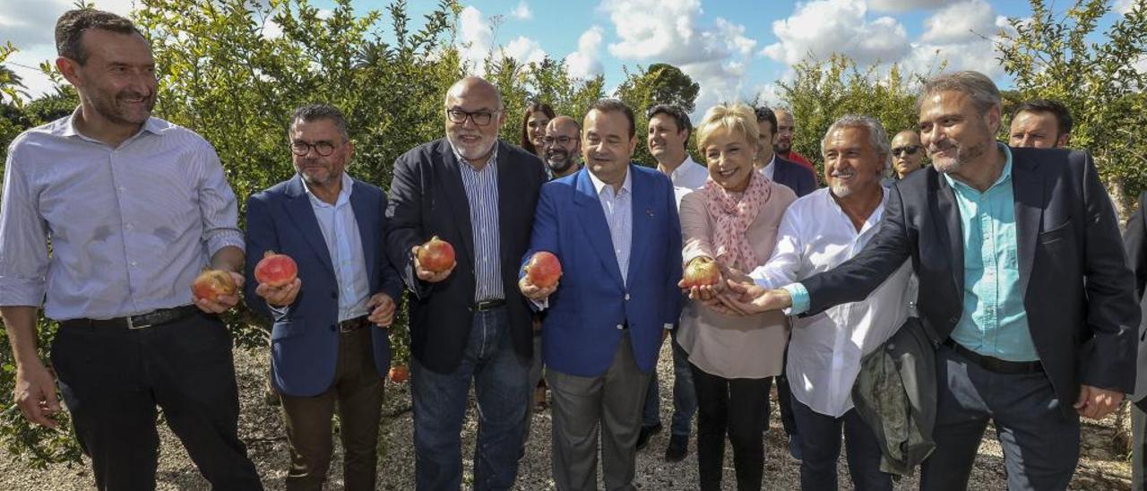 Carlos González, Francisco Oliva, Francisco Rodríguez, José Gómez, Susi Díaz, Francisco Torreblanca y Juan José Ruiz, ayer, en el corte de la granada mollar de Elche.