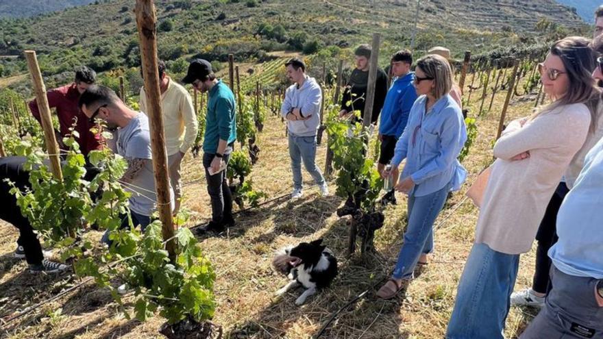 La bodega de Rafael Palacios, el enólogo de los 100 puntos Parker, se abre al enoturismo