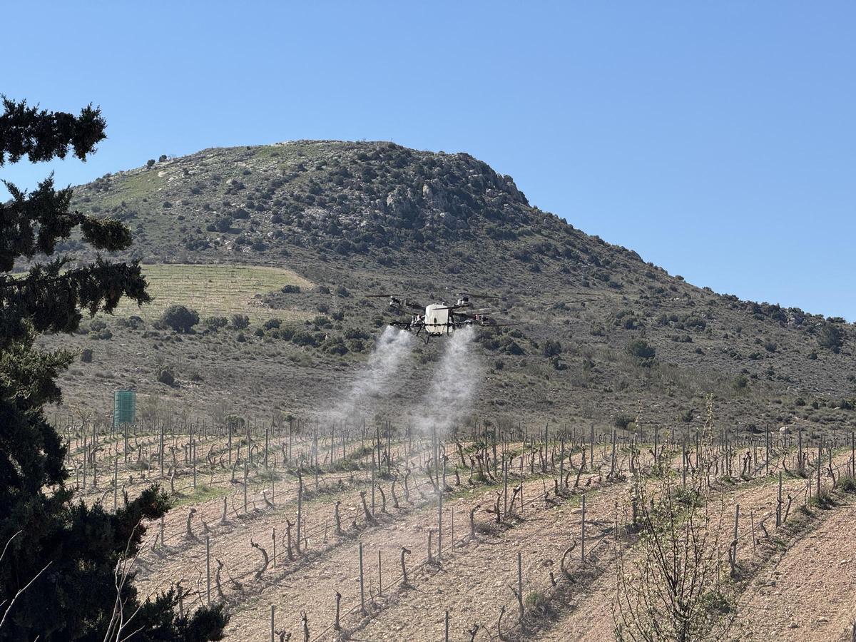 Los drones agrícolas ya permiten actuar con más rapidez y precisión en explotaciones de distinto tipo.