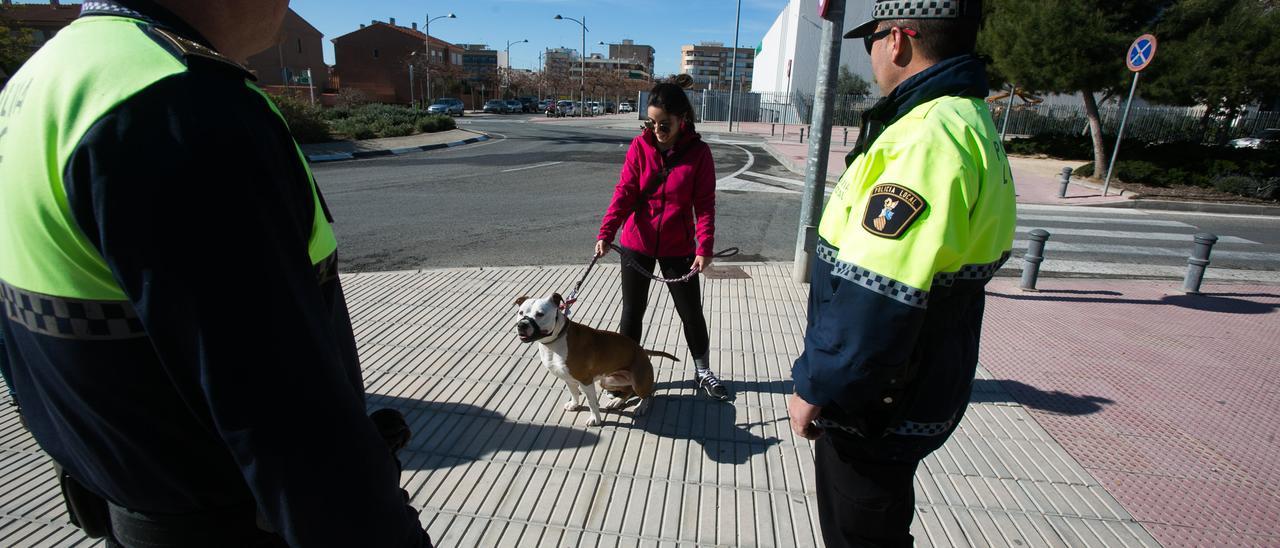Dos agentes observan a un perro potencialmente peligroso que cumple con la normativa.