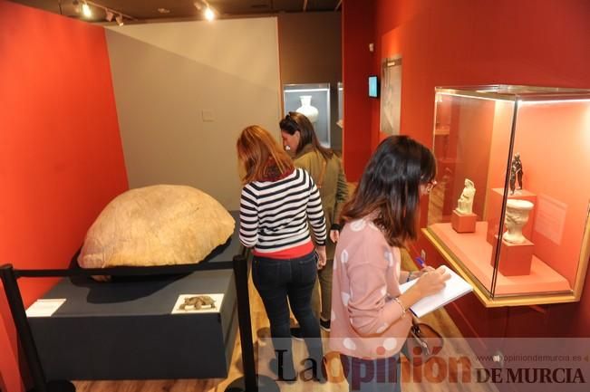 Muestra ´MAM X´ en el Museo Arqueológico de Murcia