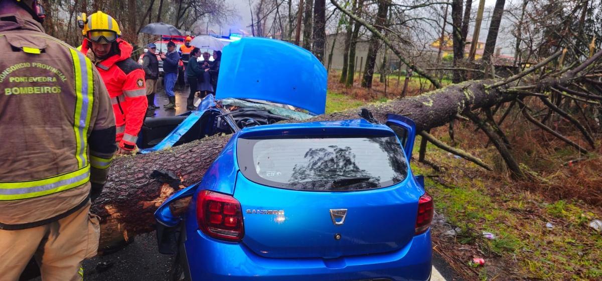 El coche accidentado tras caerle un árbol encima en Caldas de Reis.