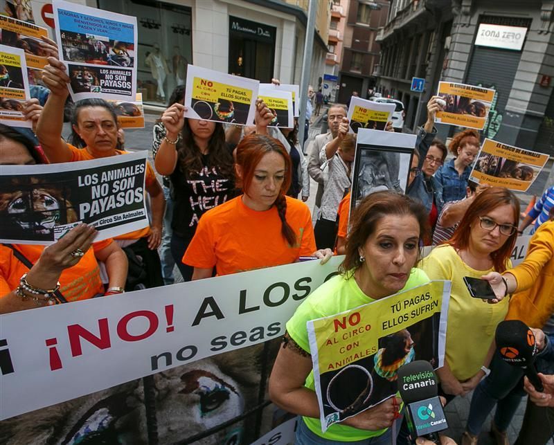 Protesta para prohibir el maltrato de animales