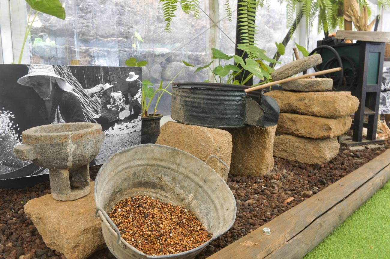 Finca agrícola Cercado Canario