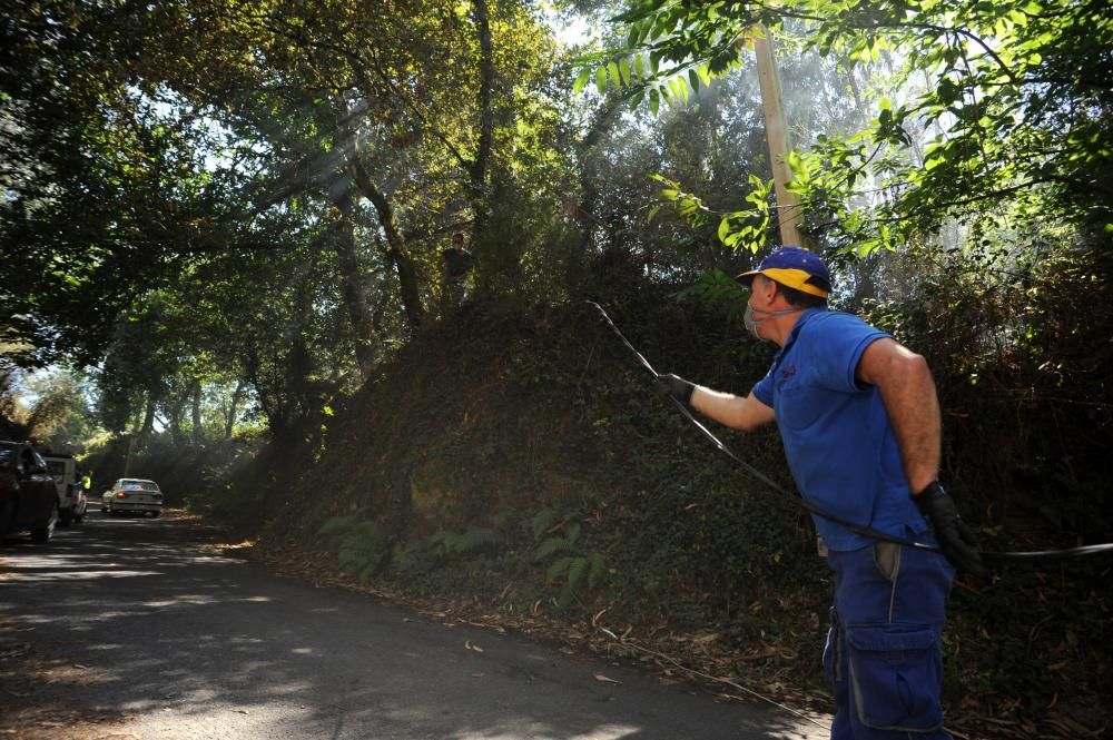 Vilagarcía lucha contra el fuego