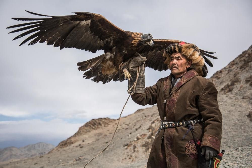 Un caçador amb àligues de l’oest de Mongòlia; fa 35 anys que s’hi dedica i ell mateix captura les aus i les ensinistra.