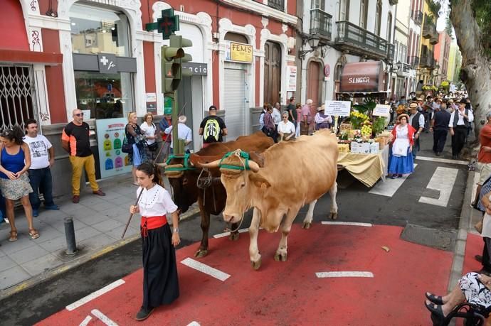 Romería del Rosario.Vegueta  | 29/09/2019 | Fotógrafo: Tony Hernández