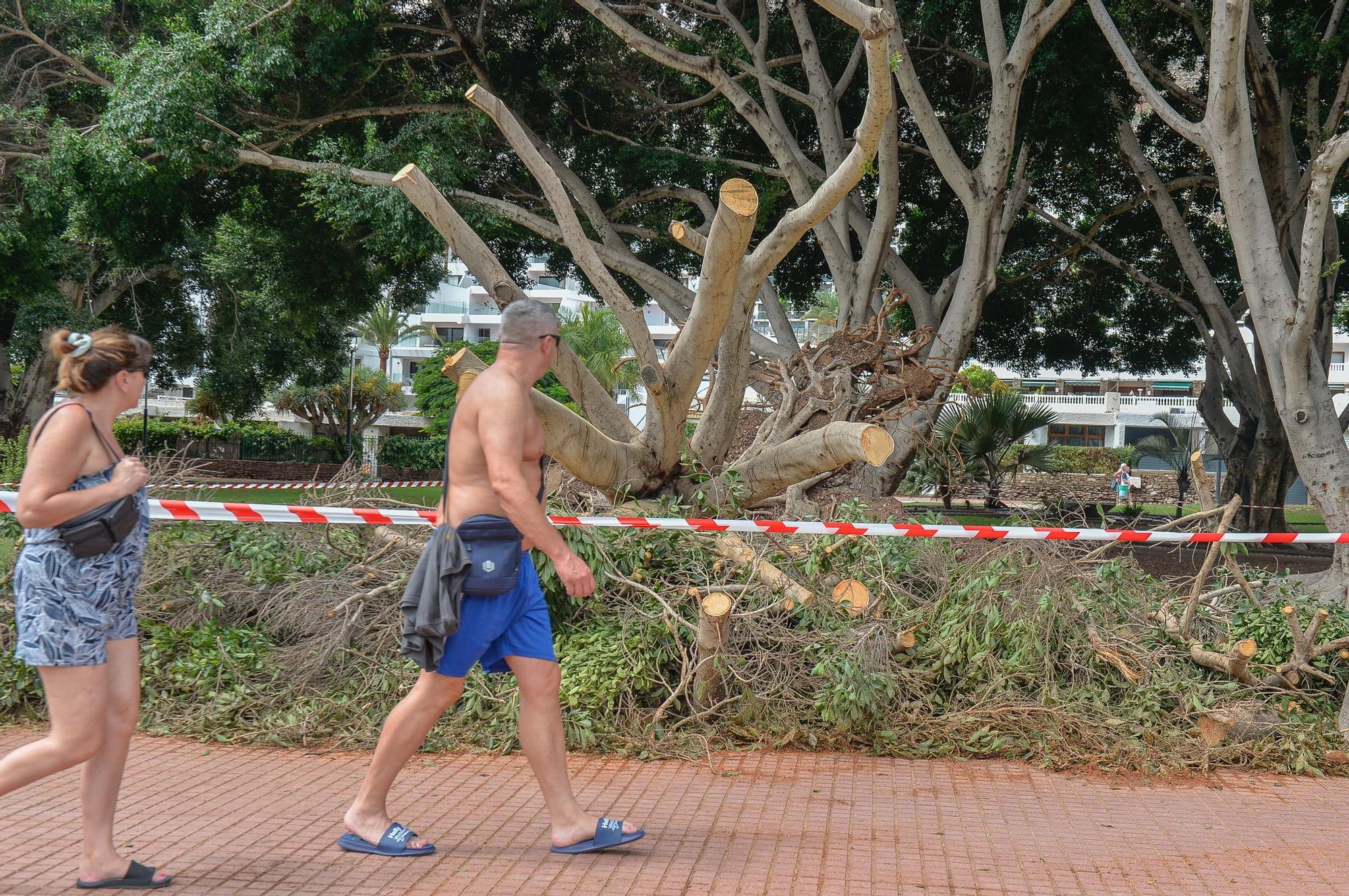 Dia después de la lluvia en Puerto Rico y Playa del Inglés