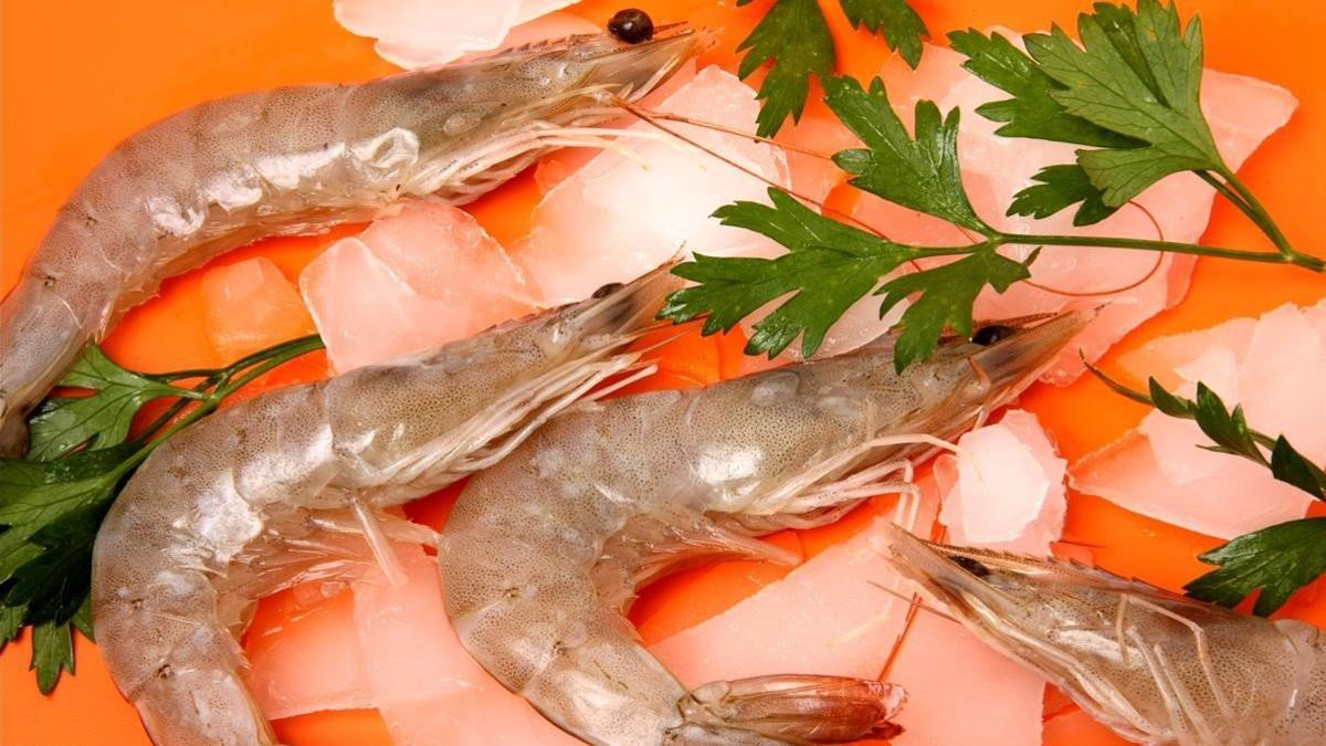 Langostino de Vinaròs.