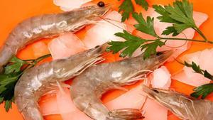 ealos11118008 barcelona 11 08 2009   verano   gastronomia   langostino de 181203115845