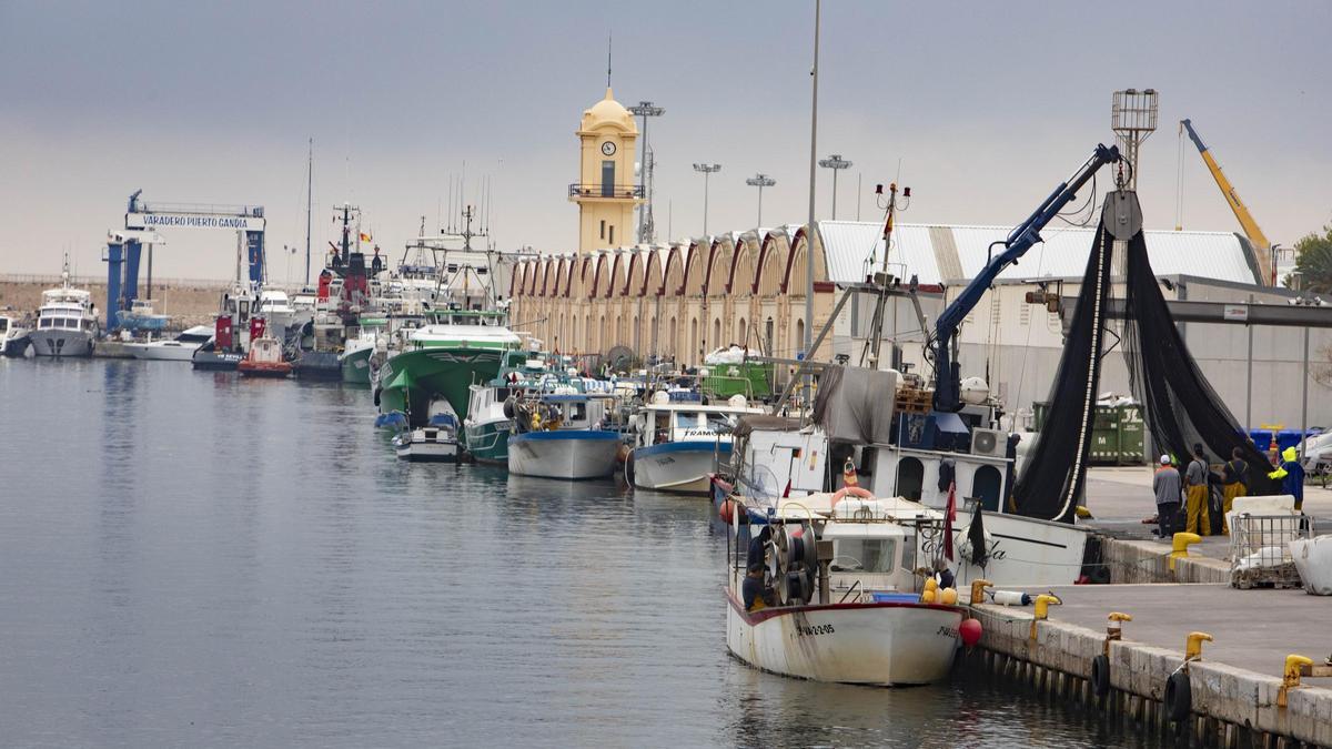 Barcas de pesca en el puerto de Gandia.