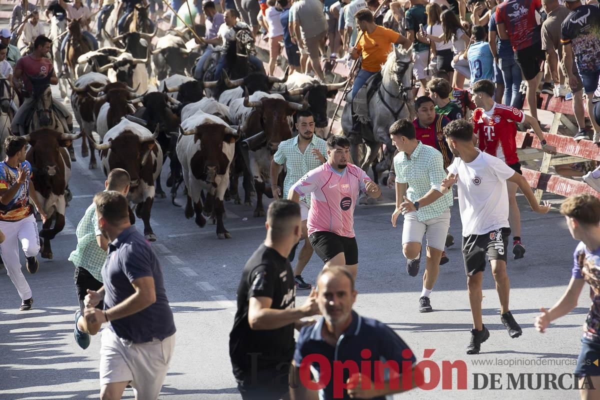 Séptimo encierro de las Fiestas de Moratalla