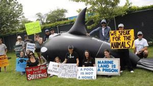 Protesta por la situación de los animales en el acuario de Marineland (Canadá)