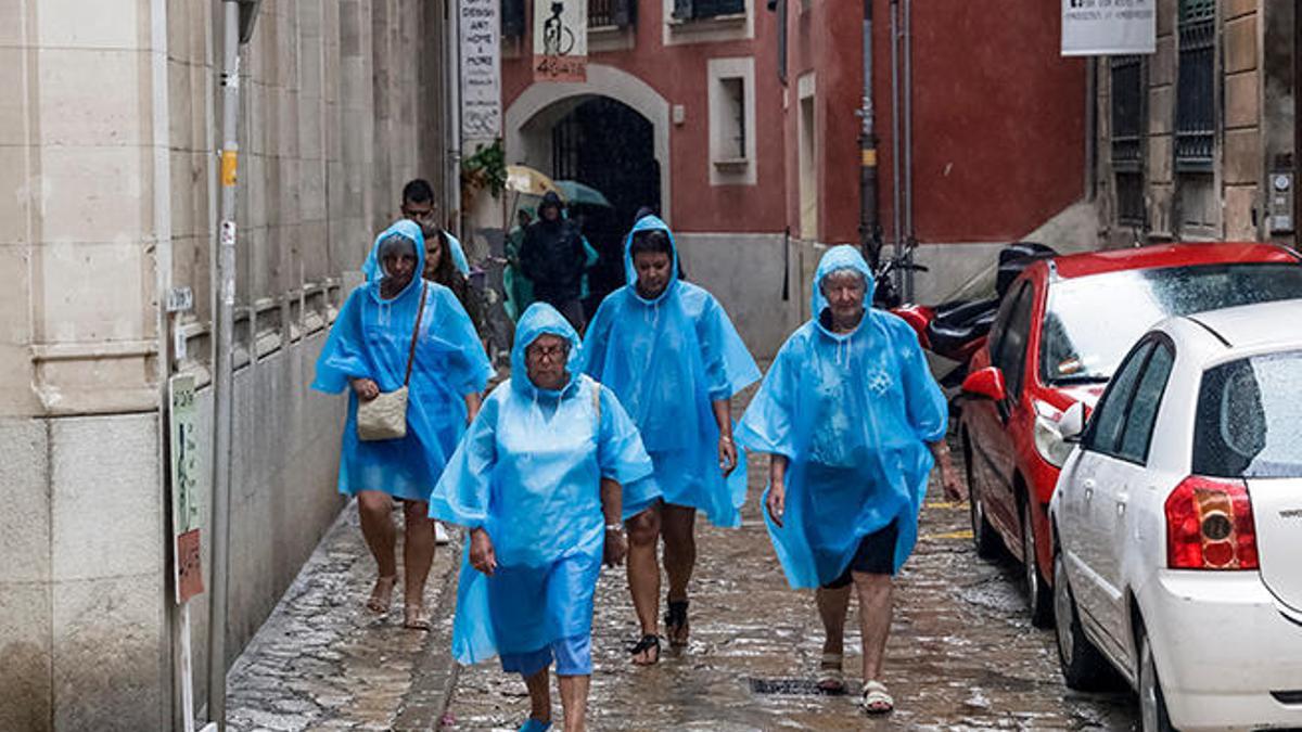 esta es la previsión día a díass