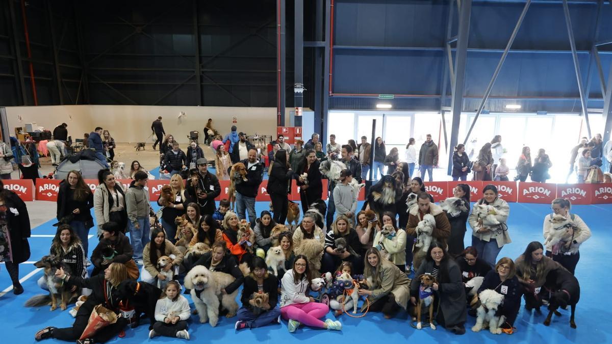 El cierre de Espacio Mascotas en Gijón, en imágenes