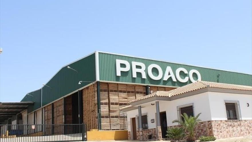 Proaco hará la planta solar española más potente de autoconsumo agrícola