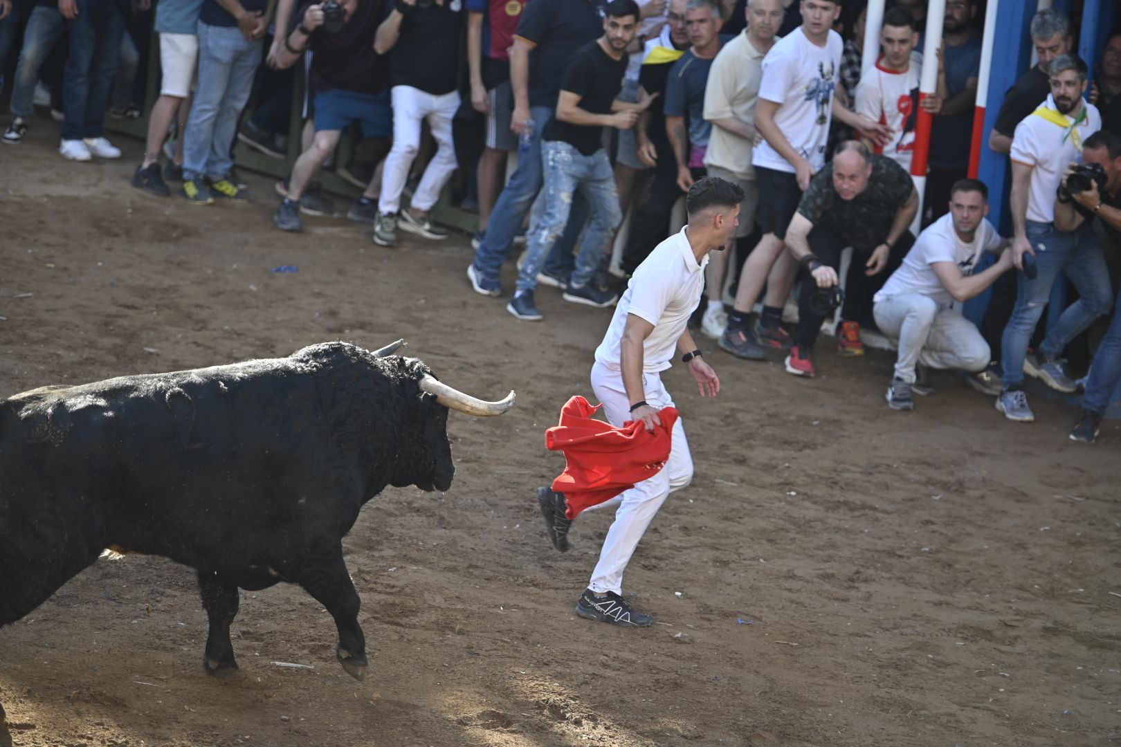 Galería | Primera tarde de toros en Almassora