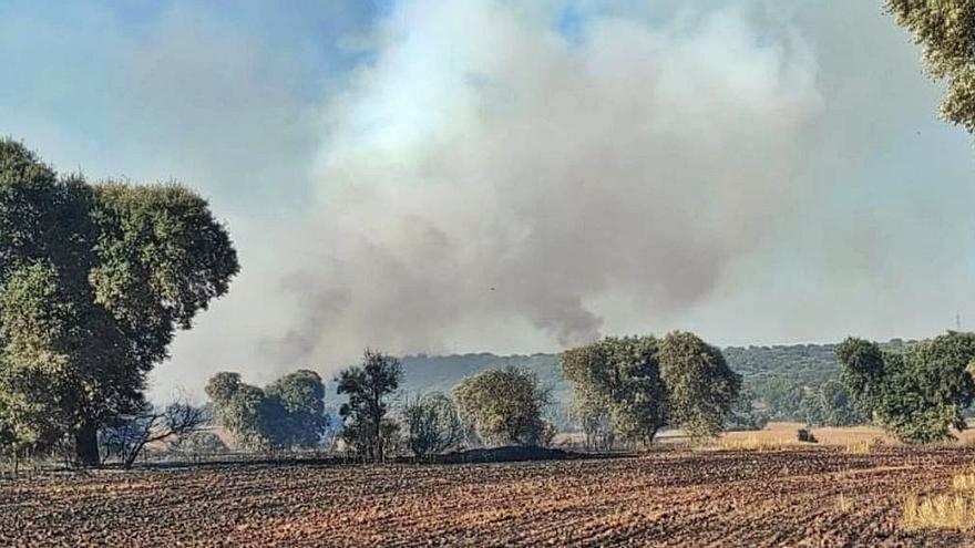 Humo del incendio originado en Valdescorriel. | Cedida