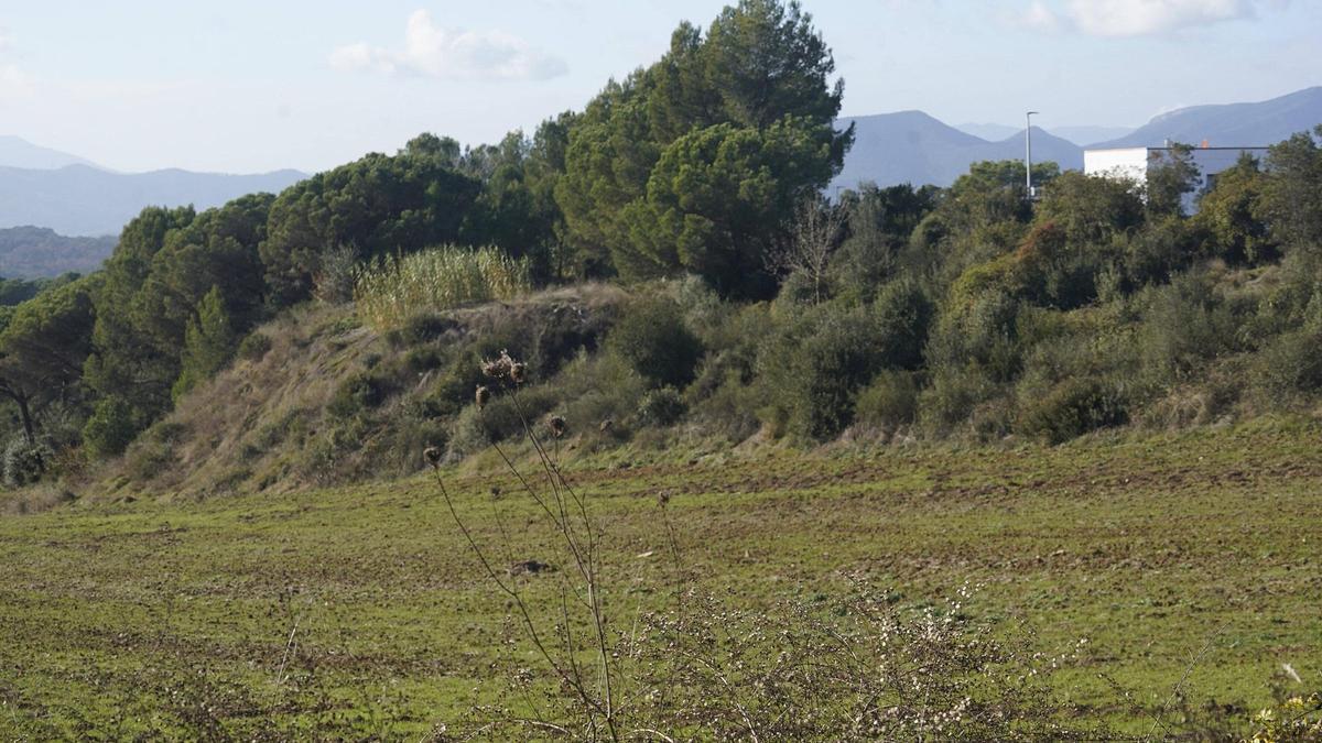 251217DDG_Marc Mart (228696819)