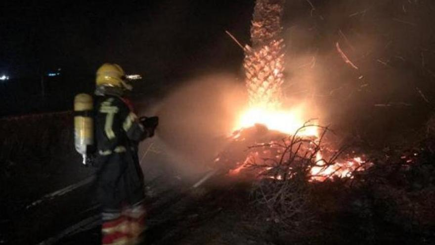 Un incendio calcina una palmera en San Bartolomé