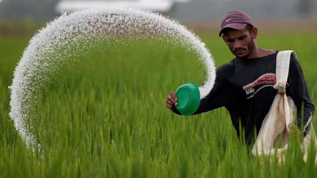 La degradación ambiental amenaza la importación de alimentos básicos en la UE