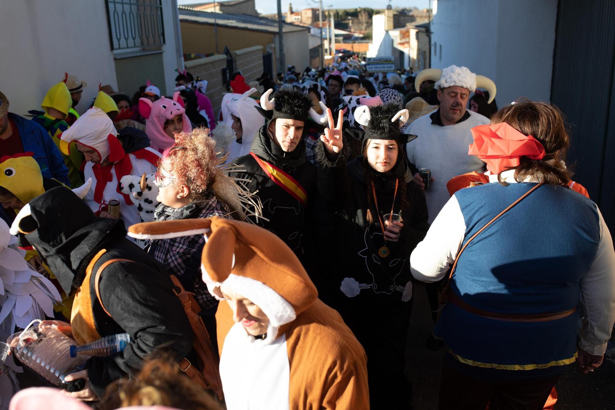 GALERÍA | Desfile del X Antruejo en Montamarta