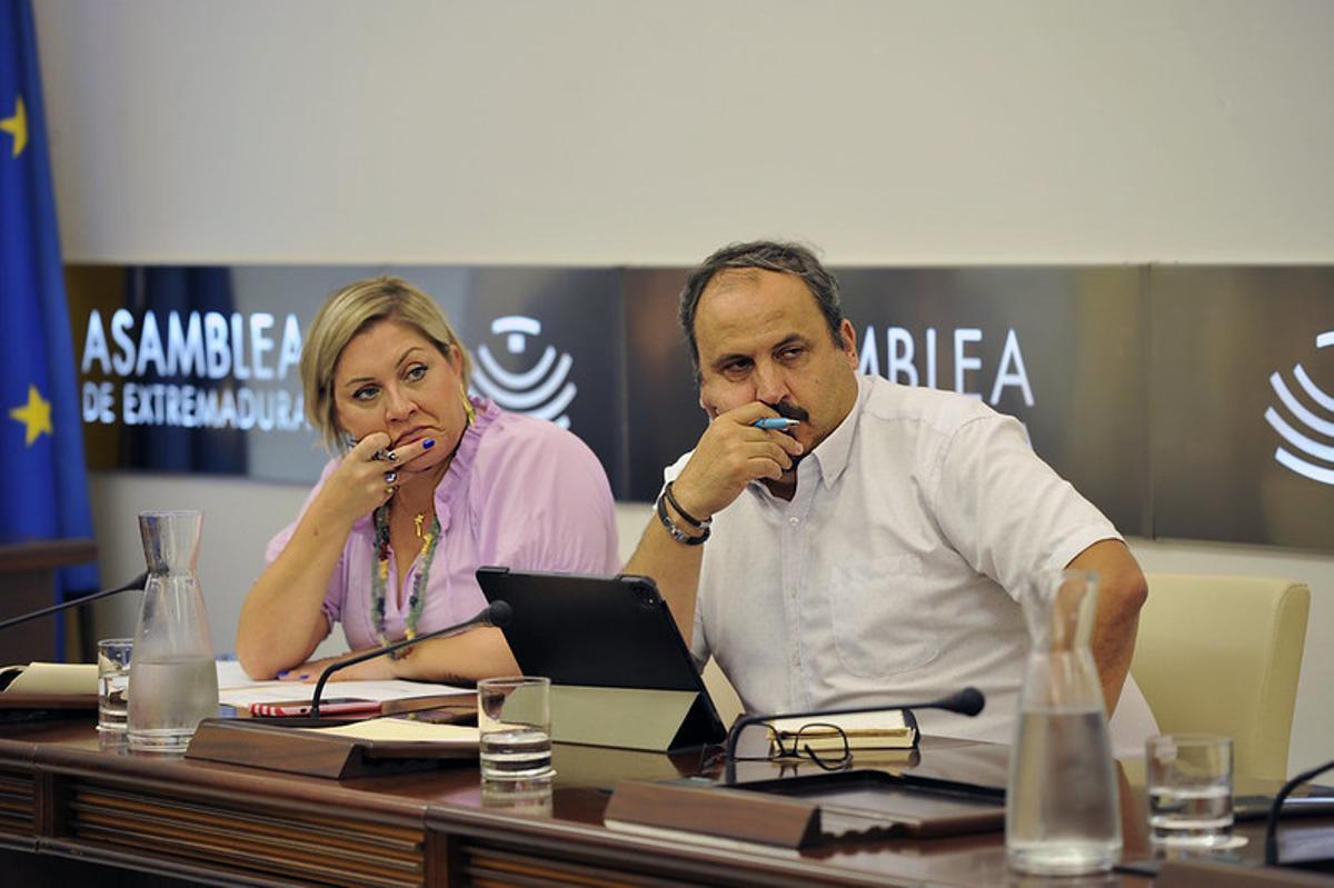 Los diputados socialistas Soraya Vega y Alfonso Beltrán en la Comisión de Desregulación, Servicios Sociales y Familia.