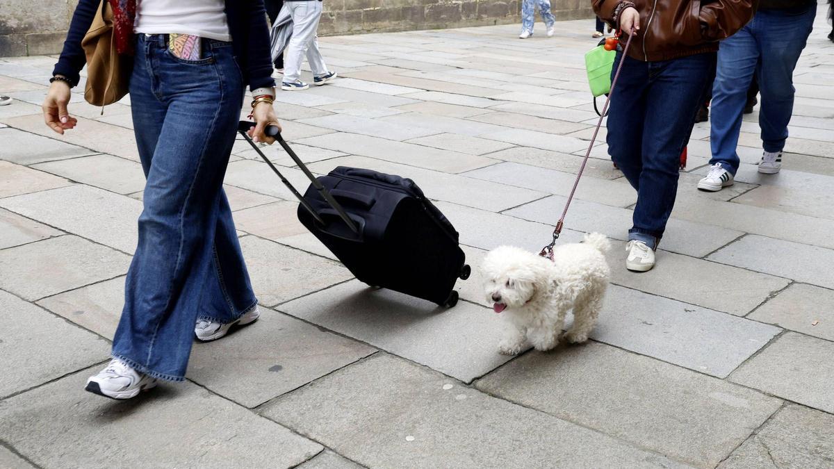 La demanda de pisos turísticos es muy elevadas en épocas  como la actual.