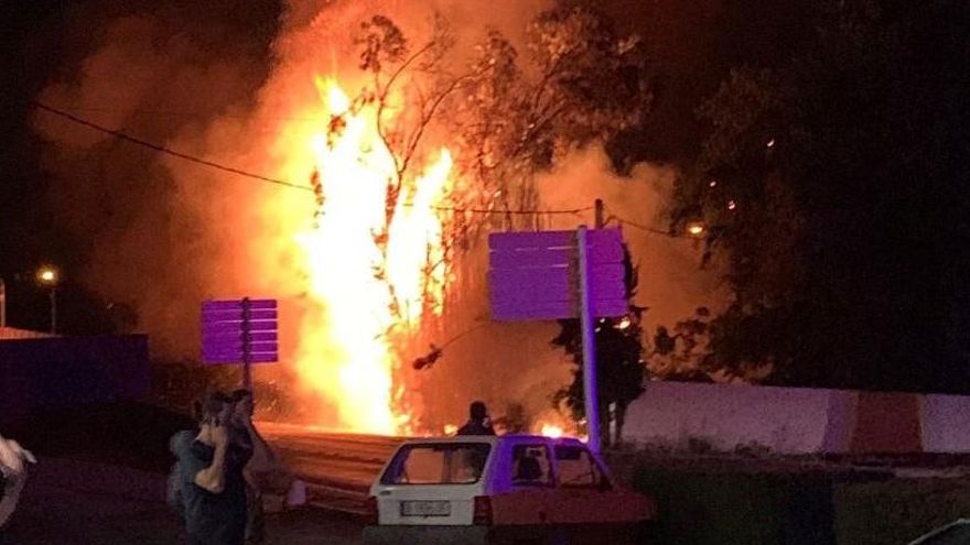 Les flames van afectar l&#039;arbrat de la Salanca