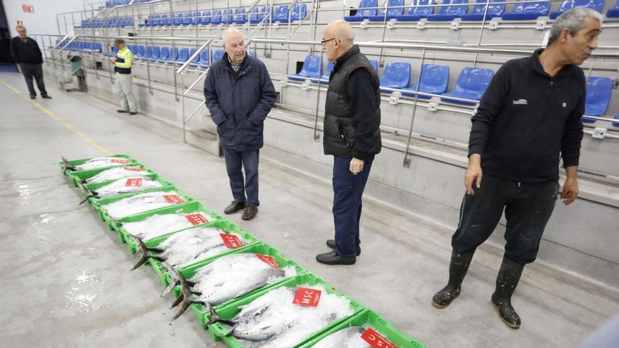 Lonja Gijón cerró 2019 con menos ventas de pescado, pero con mayores ingresos