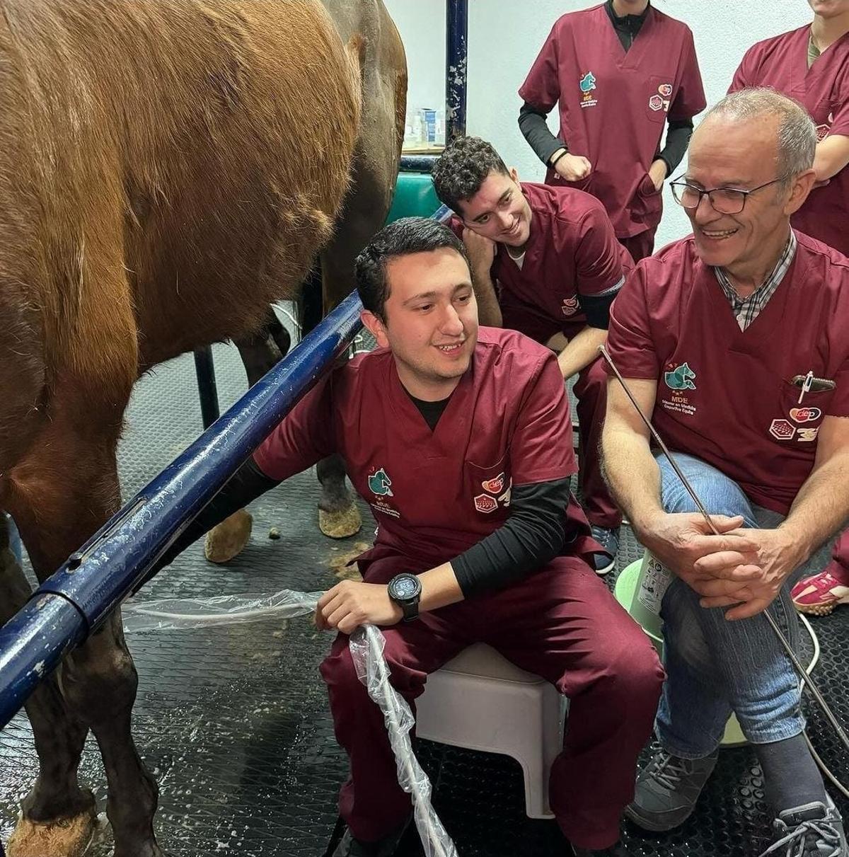 Práctica de ecografía de un alumno del Máster de Medicina Equina.