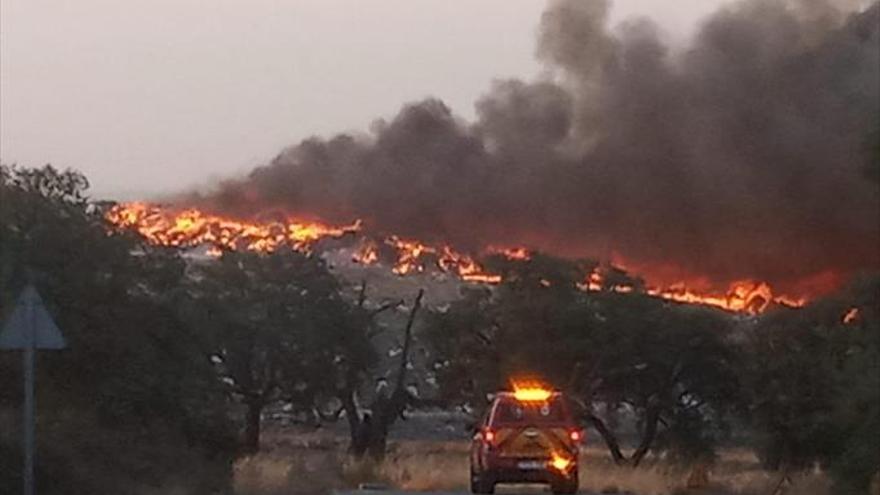 El fuego del ecoparque seguía activo 24 horas después de declararse