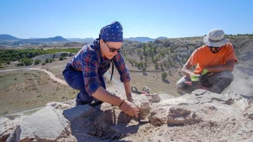 Últimas excavaciones en el yacimiento de la Edad de Bronce.
