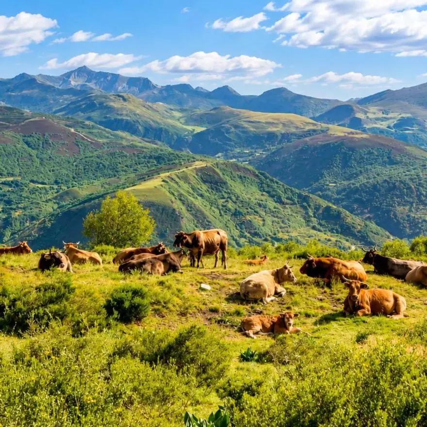 La Vía Verde más desconocida de España recorre una Reserva de la Biosfera de robledales