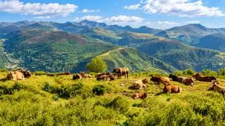 La Vía Verde más desconocida de España recorre una Reserva de la Biosfera de robledales