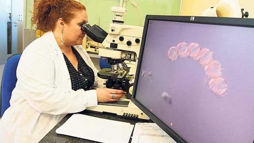 Instalaciones del Instituto Tecnológico para el Control del Medio Marino (Intecmar).