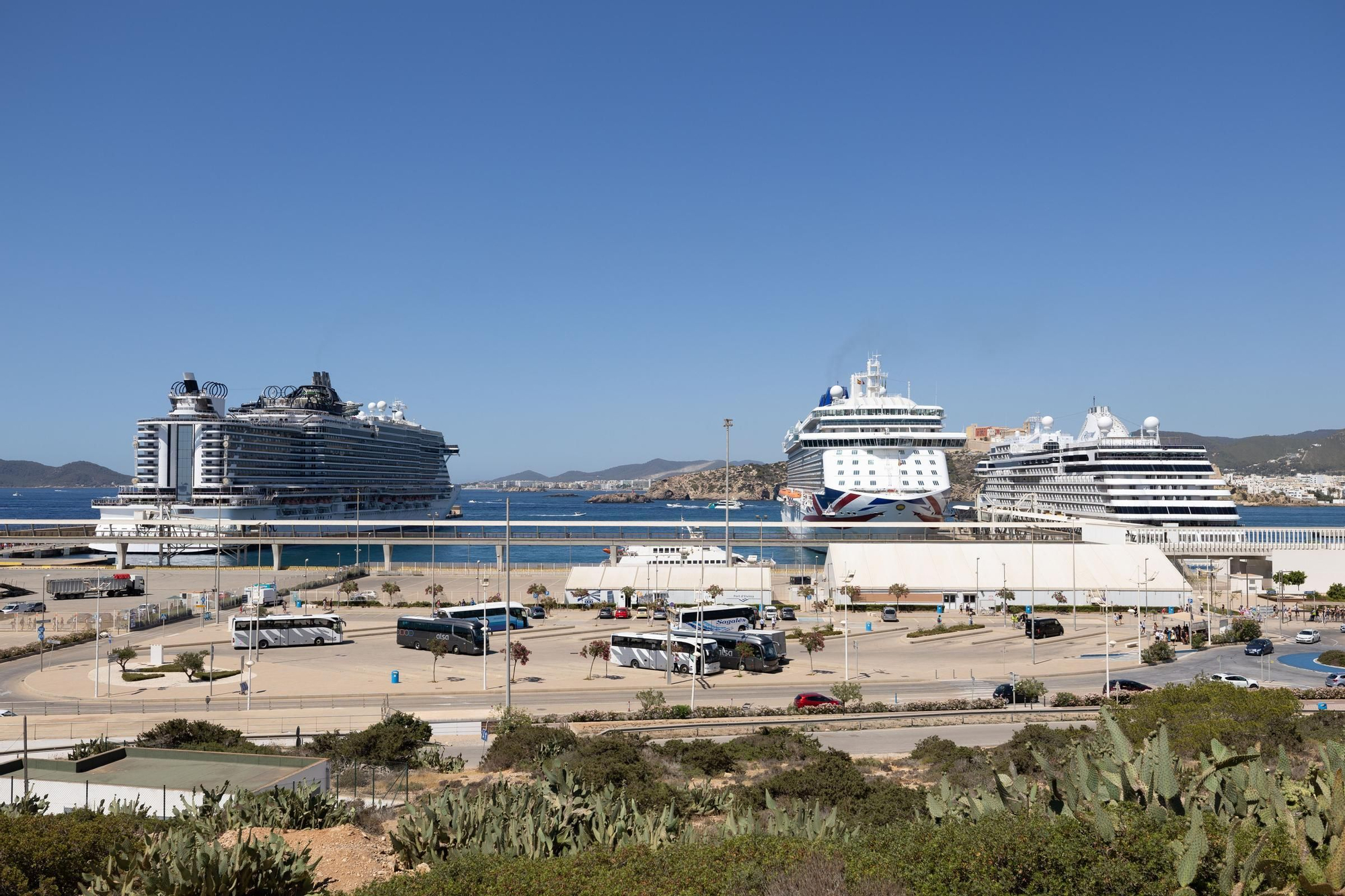 Galería: Portesta contra  los cruceros en Ibiza