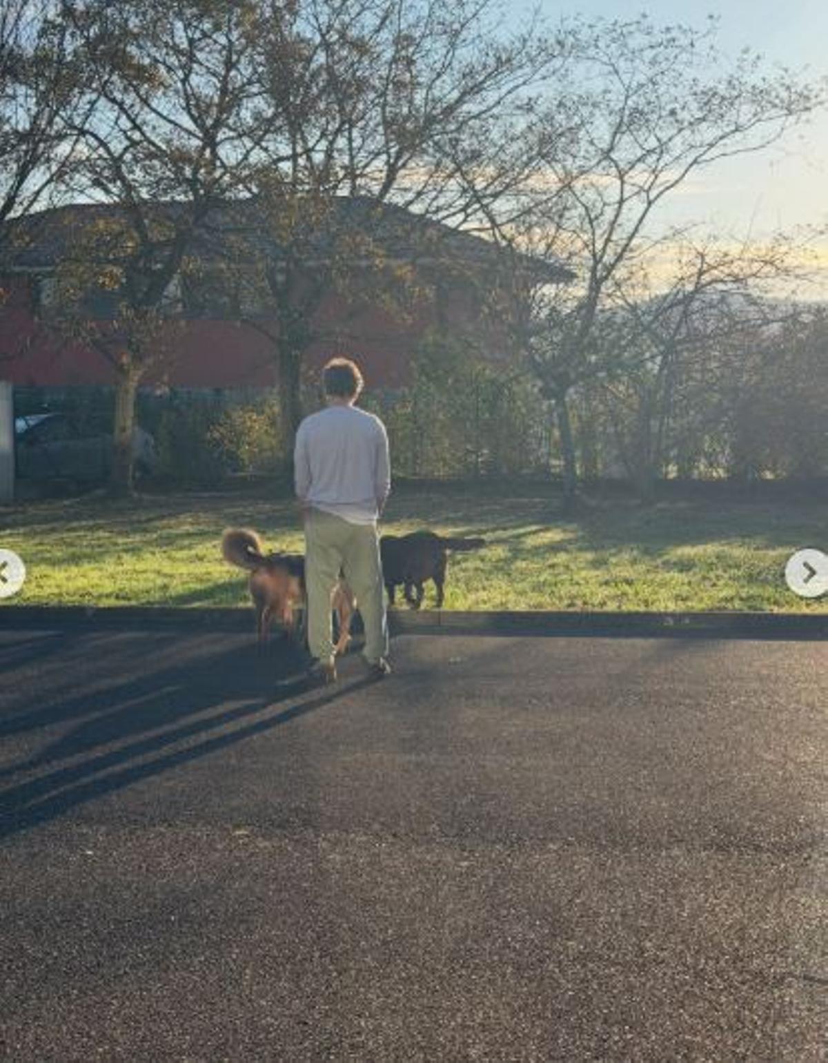 Quique Sánchez Flores con sus perros