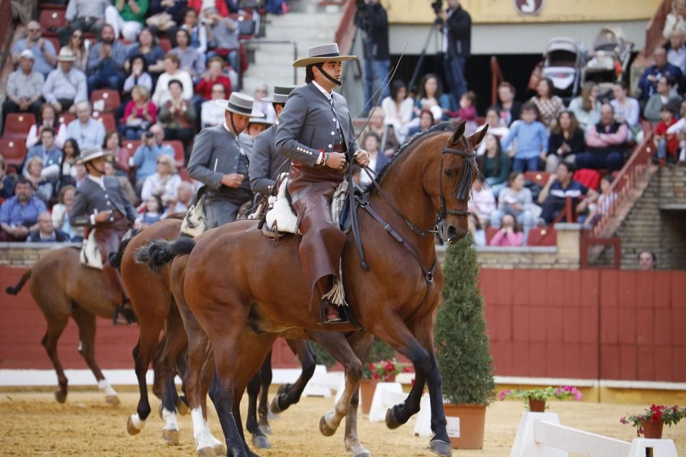 El mundo del caballo contra el cáncer