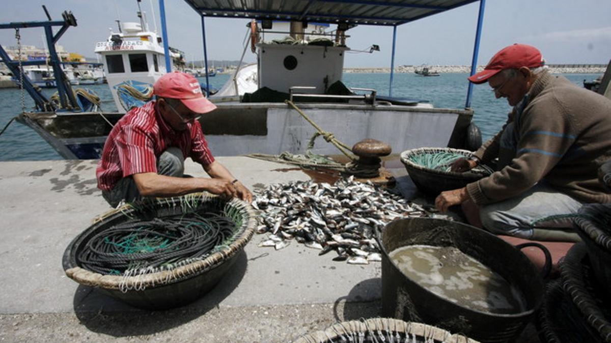 Pescadores en el puerto de la Atunara de La Línea de la Concepción (Cádiz), este jueves.