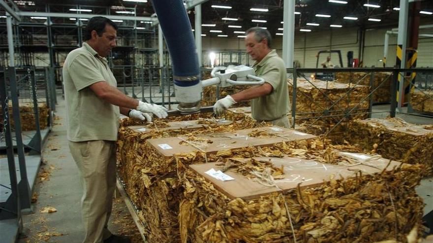 Altadis mantendrá este año el volumen de compras de tabaco en Extremadura