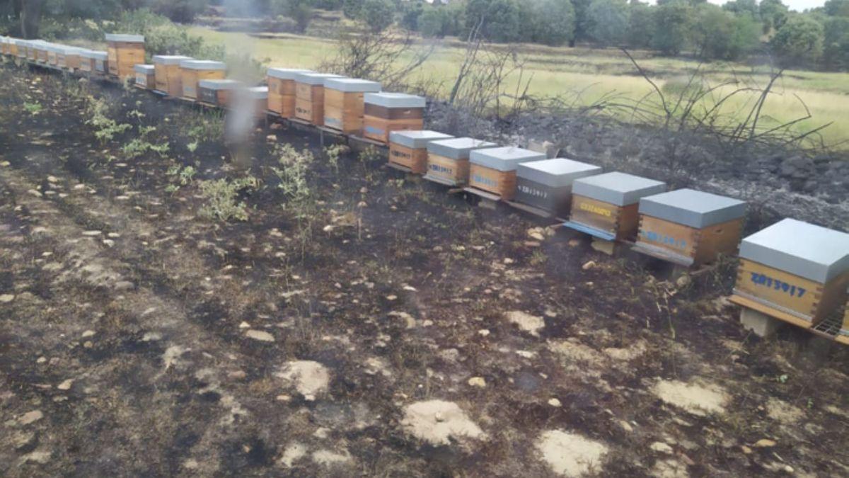 Las colmenas de Olleros de Tera, rodeadas de terreno calcinado por el fuego.