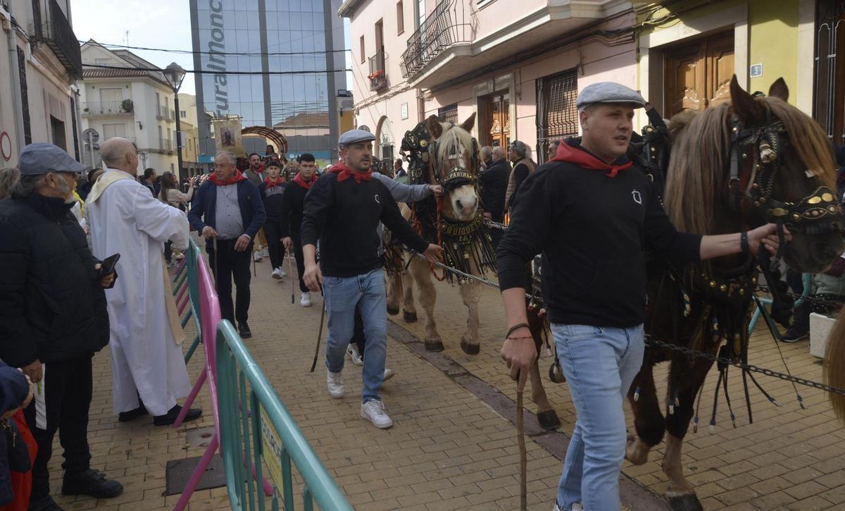 La bendición de los animales la encabezan las caballerías.