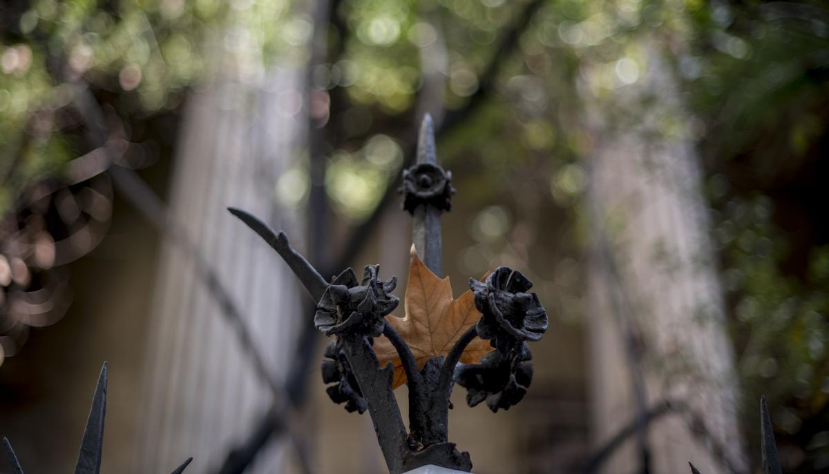 Detalle en una de las verjas de la entrada del antiguo taller Masriera y posteriormente teatro Studium, en el número 72 de la calle Bailén